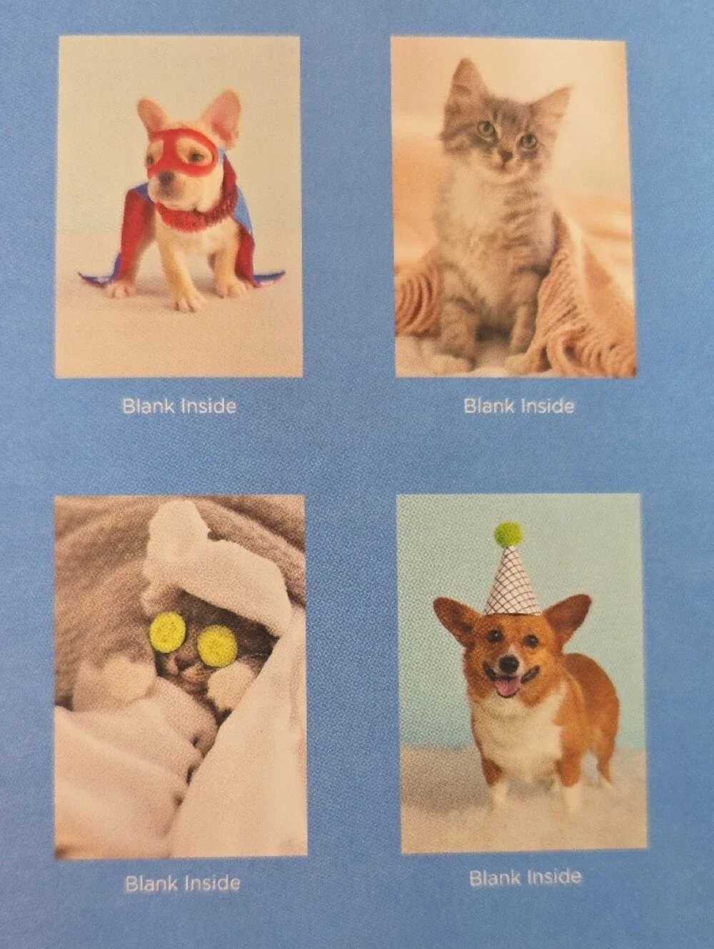 Hallmark Dog & Cat Black Cards Set